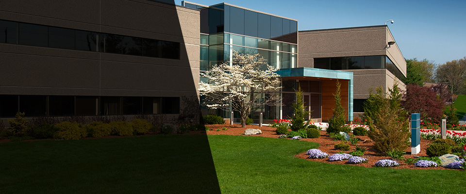 Palisade Landscapers