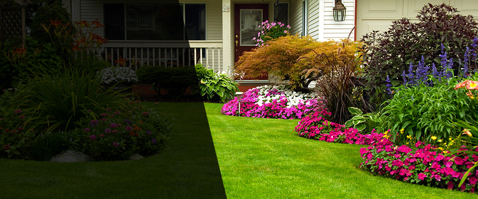 Palisade Landscapers