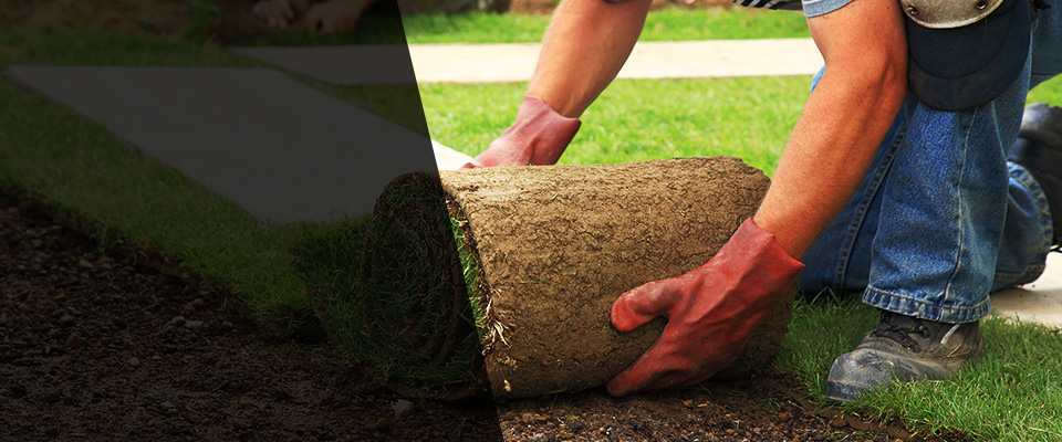 Palisade Landscapers